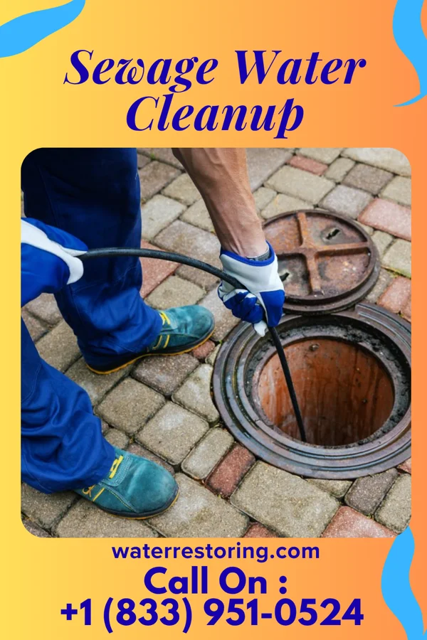 Sewage Water Cleanup in Fisher Island, FL